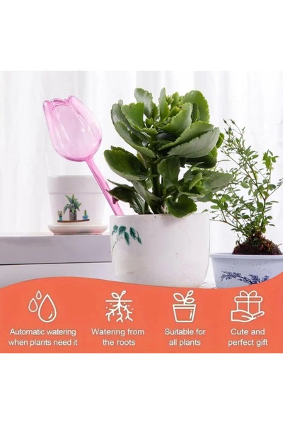 Choice3 1pc Stylish Plant Watering Solution Tulip Plant Watering Globes Self ...