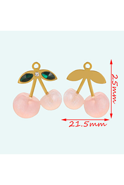 Choice11 Z2509G3-2PCS Stainless Steel Pink Jewelry Strawberry Cherry Heart Sh...