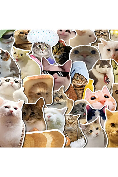 Choice 50PCS 10/30/50PCS Funny Cute Cat Stickers Cartoon Decals Cup Stationer...
