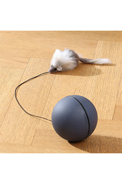 Choice1 GRAY "Battery-Operated" Interactive Cat Toy Ball With Tracking Mouse ...