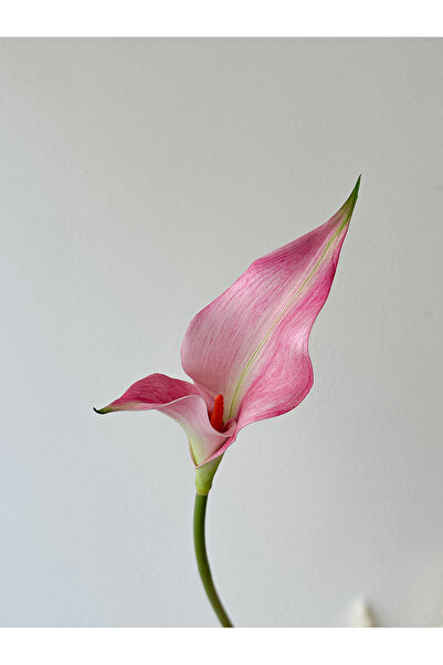 Choice 1pc Pink 1/3pcs high quality artificial horseshoe lotus desktop flower...