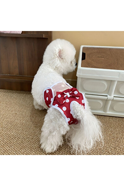 Choice5 L Red Reusable and Adjustable Dog Diaper Pants - High-Quality Breatha...