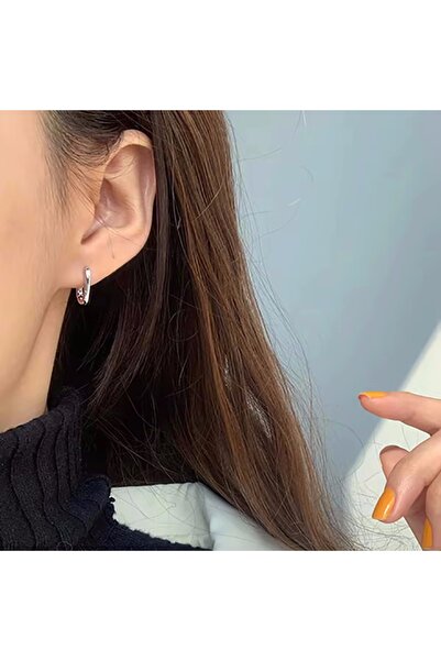 Choice E10309-02 Foxanry Prevent Allergy Silver Color Stud Earrings France Fa...