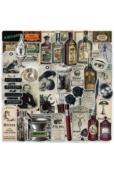 choice2 Style A-100PCS 100PCS Vintage Aesthetic Stickers Plant Map Theme Stic...