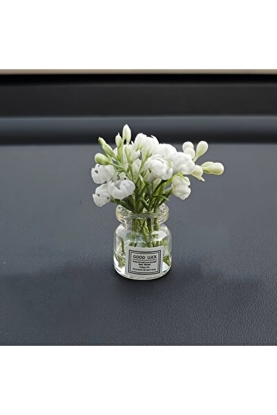 Choice White Jasmine Delicate Miniature Potted Flowers Assorted Colors Car Da...