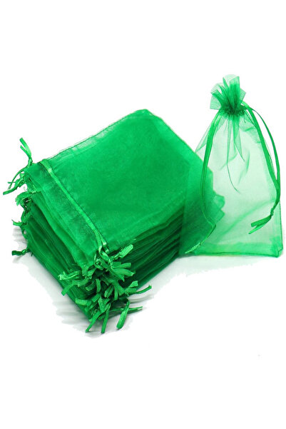 Choice27 10x15cm (100 Pcs) Green 50/100Pcs Fruit Protection Netting Bags with...