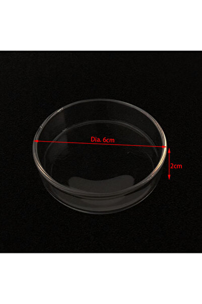 Choice5 Circle 6cm Transparent Aquarium Fish Tank Shrimp Food Feeding Circle ...