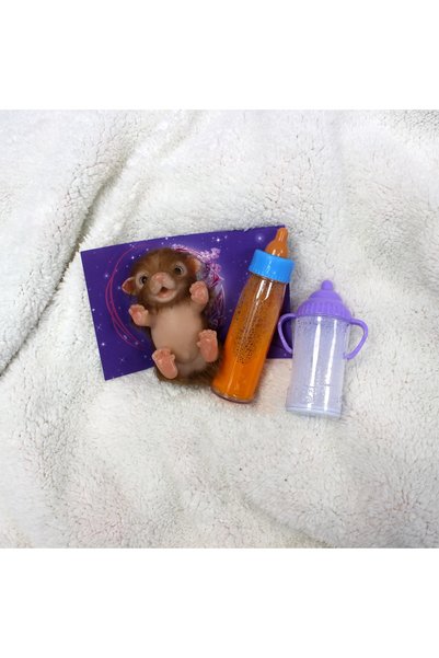 Choice Silicone Puppy 12CM Silicone Puppy Bebe Reborn Dolls Full Body Silicon...