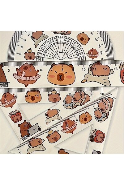 Choice 4pcs 4pcs Plastic Transparent Capybara Ruler, A Set Of Ruler Test Draw...