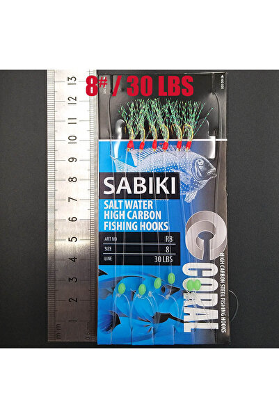 Choice B-8 Lunker Sabiki lure flasher rig hook soft bait luminous eel glow da...