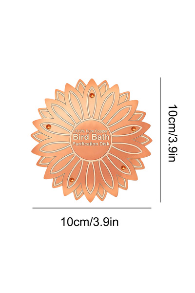 Choice4 D Bird Bath Copper Disk bird bath purification tray Metal Cleaner Dis...