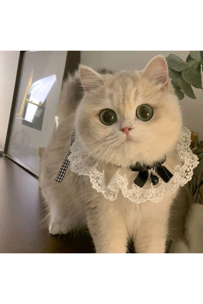 choice2 Cat Collar-02 Cat Dog Collar Silk Wedding Cat Puppy Ribbon Scarf Prin...