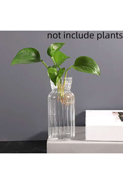 Choice L Transparent Glass Vases Hydroponic Plants Flower Arrangement Bottle ...