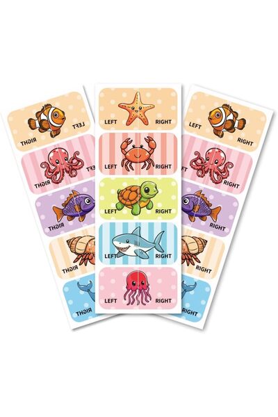 Choice AECH08-05875 Peacoblue Shoes Stickers for Shoes Learning Left Right Ma...