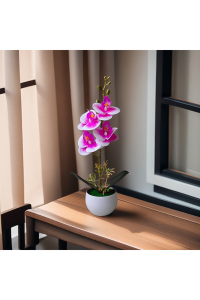 Choice5 White rose red Realistic Artificial Orchid Potted Plant with Plastic ...