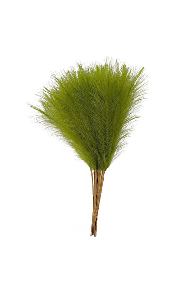 Choice 10PCS Grass green 55CM 10PCS Fluffy Pampas Grass Boho Decor Flower Fak...