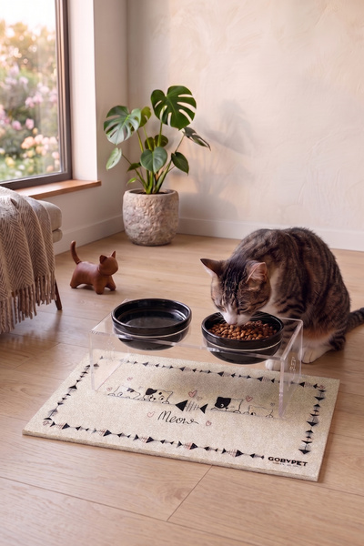 GOBYPET 2'li Seramik Dekoratif Kedi Ve Köpek Pleksi Mama & Su Kabı Paspas