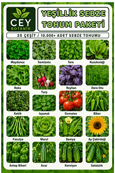 CEY BOTANİK Yeşillik Sebze Tohum Paketi, 20 Çeşit Tohum, Takribi 10.000 Adet ...