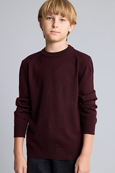 DeFacto Regular Fit Crew Neck Basic Sweater for Boys A4992A825Wn