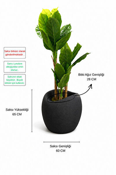 Lunalore Dekoratif Küre Fiber 70 CM Modern Saksı Tasarımı Yapay ve Canlı Bitk...