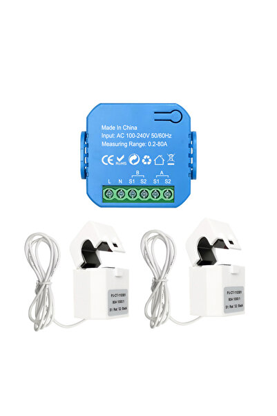 Choice1 ZigBee Version-2CT Smart ZigBee Bi-directional Energy Meter with 80A ...