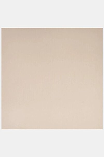 Kayra Silvery Plain Scarf Beige