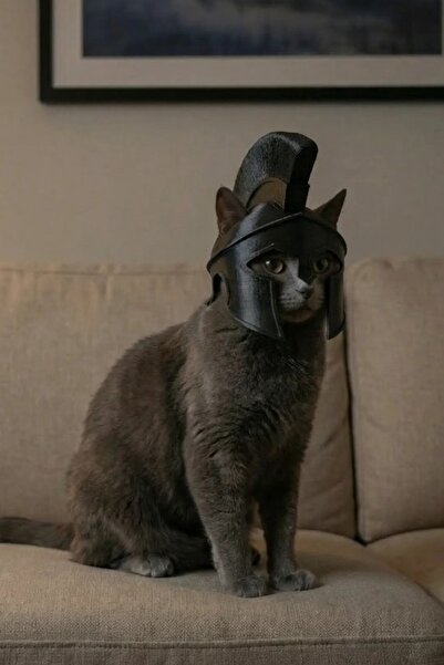 Pet Kostüm - Kedi İçin 3D Baskı Savaşçı Miğfer Şapka (Gladyatör/Spartalı)