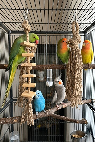 Mivra Pets Bird Toy Set Natural Jute and Wood - Parrot Toy, Budgie Toy, Cocka...