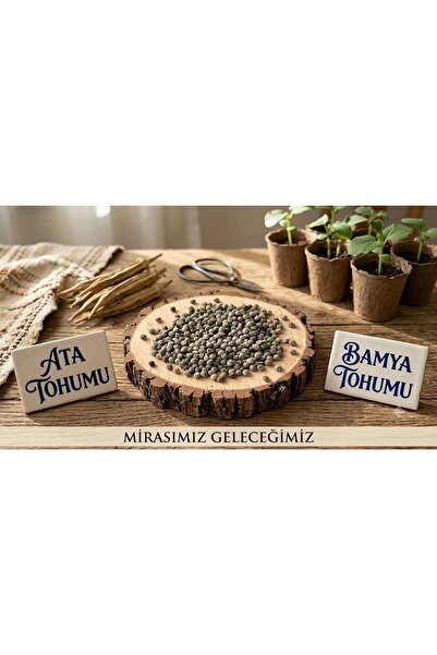 Bamya Tohumu 500 gr