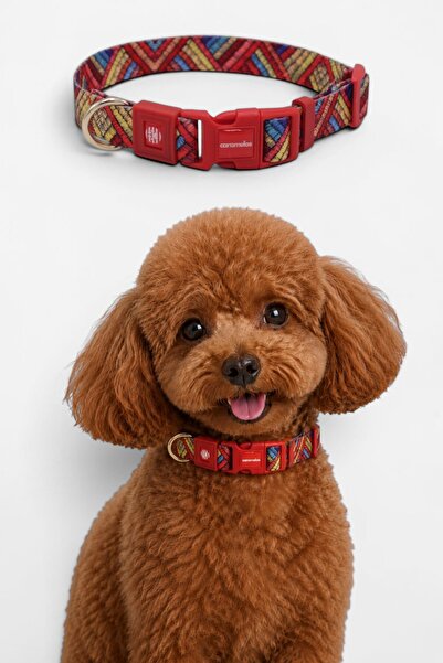 CARAMELOS Dog Collar-Dog Neck Collar- Small Breed Collar- Medium Breed Collar...