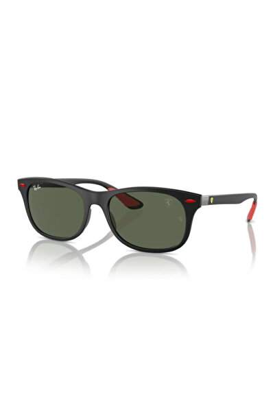 Ray-Ban Sunglasses Rb4607M 55 F60271