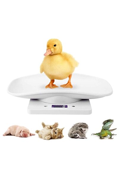 Generic Digital Mini Pet Scale, Small Animal Weight Scale, Portable LCD Elect...