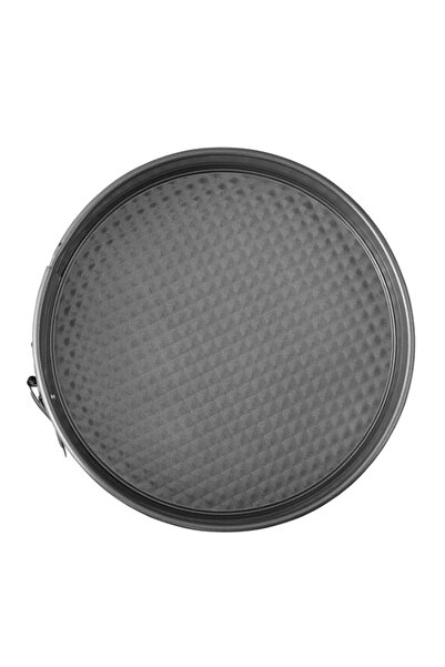 Generic Wilton Springform Cake Pan, 9-Inch