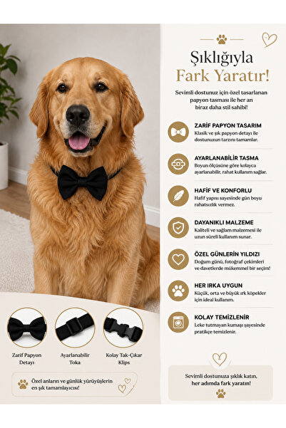 Patişon büyük ırk siyah köpek papyonu