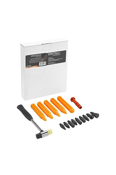 OEM Set Profesional PDR pentru Îndepărtarea Dentițiilor, Complet, 15 Piese, A...
