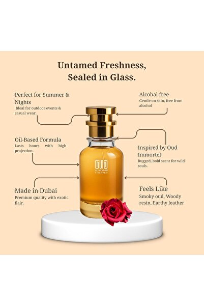 OUD AL MEYDAN Oil-Based Perfume for Men – Inspired by One Million– Long-Lasting Woody Spicy Scent – Alcohol-Free, Notes: Blood Mandarin, Cinnamon & Leather – Bold Evening Fragrance (200 ML)