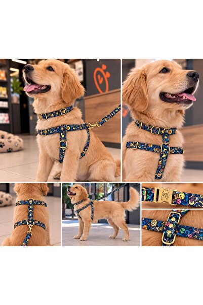 STYLE DOG GÖĞÜS BEL TASMA