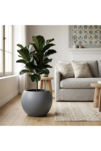 hepsibiyerde Küre Vazo Model Modern Dekoratif Plastik Saksı Vazo 27 Litre (İç...