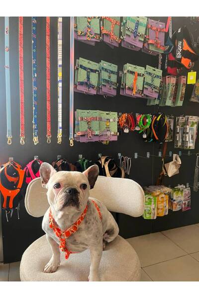 STYLE DOG GÖĞÜS BEL TASMA