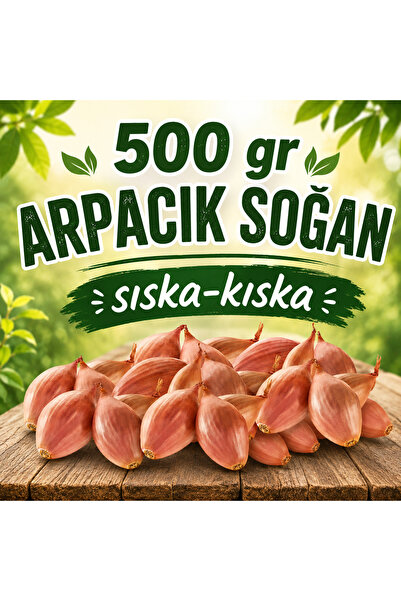 Ziraat Evim Kıska Soğan 500 gr Arpacık Soğan Iska Soğan Tohumu ıska