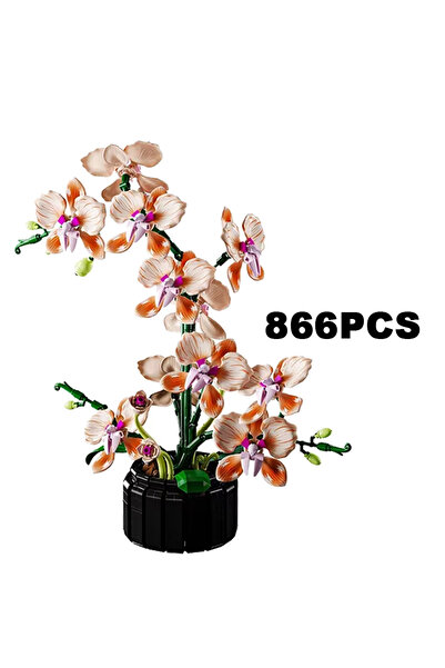 Choice A NO Box Creative Orchid Bouquet Potted Building Blocks Immortal Flowe...
