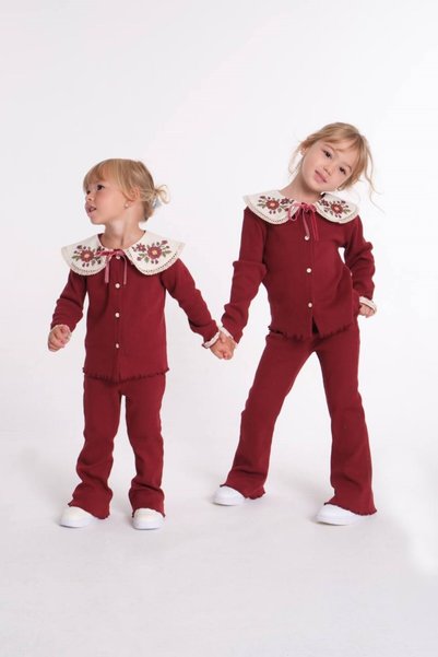 Sweet Luna Burgundy Embroidered Camisole Set-1106