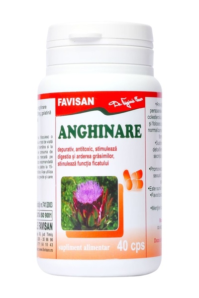 Favisan Artichoke extract 200mg 40caps