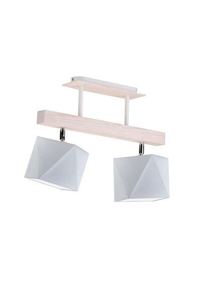 OEM Plafonieră ASTIR cu 2 puncte de iluminare – Alb/Gri deschis