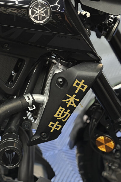 Banxtre Side Radiator Cover Top Japanese Text Sticker (Right and Left) for Ya...