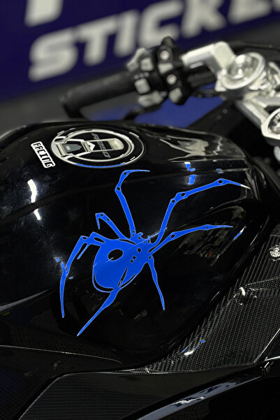 Banxtre Tarantula Sticker Decal for Motorcycle and Helmet (1 Piece)