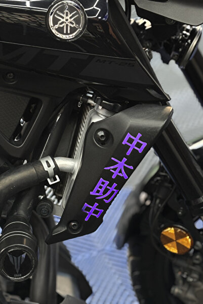 Banxtre Side Radiator Cover Top Japanese Text Sticker (Right and Left) for Ya...