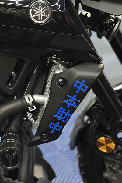 Banxtre Side Radiator Cover Top Japanese Text Sticker (Right and Left) for Ya...