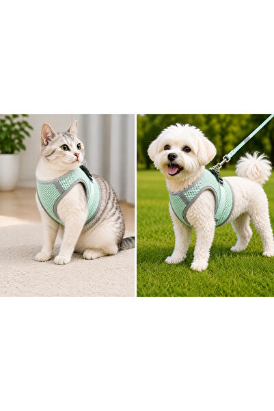 Mestore Breathable Fabric Air Mesh Cat Dog Collar X Small 32X36 cm Gray - Kp-...
