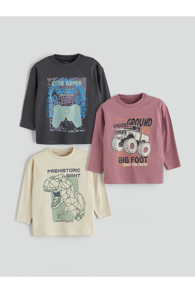 LC Waikiki Tricou de băieți cu guler rotund și imprimeu, pachet de 3